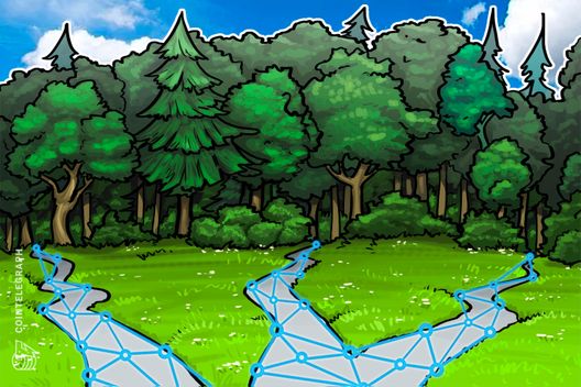 Chinese County Establishes Blockchain Company To Develop Forestry Industry