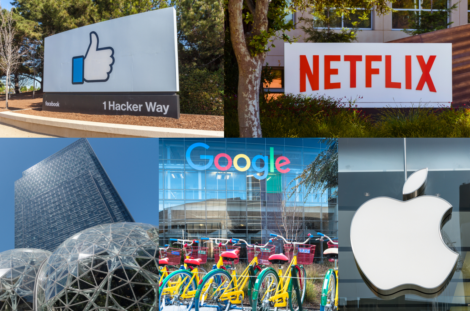 7 Facebook, Amazon, Apple, Netflix And Google Staffers That Went Full Crypto