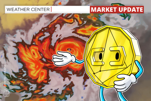 Crypto Markets Continue Trading In Red, Oil Reports Losses