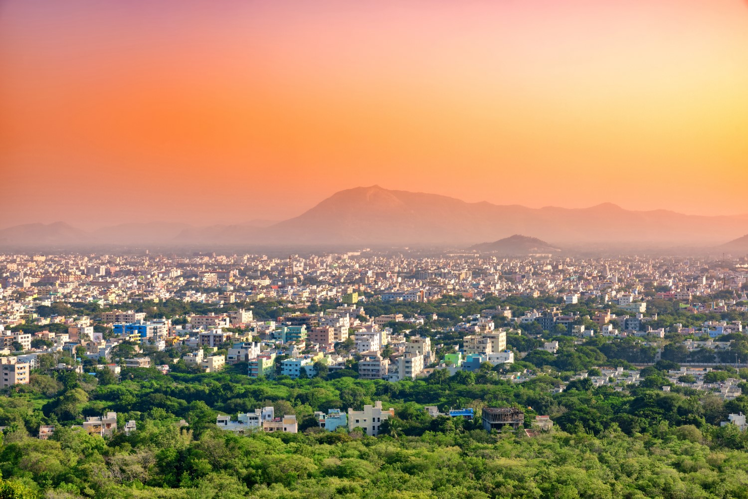 Indian Panel Proposes Fines And Jail Time For Cryptocurrency Use