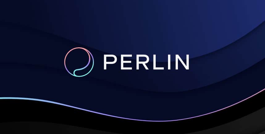 Exclusive Interview: Perlin, The Upcoming Binance IEO, Plans To Create A Pseudo-UBI For Device Owners