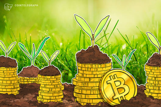 Ron Paul Survey Reveals Most Prefer Bitcoin For 10-Year Investment