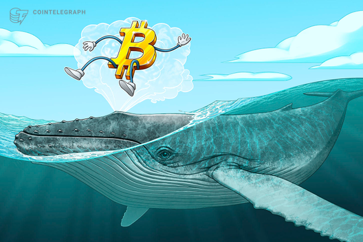 Analysts Laugh Off Recent ‘One-Whale Theory’ Of BTC’s 2017 Bull Run