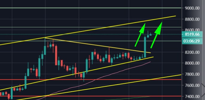 Bitcoin-price-passes-this-first-major-test-of-2020,-surging-to-a-2-month-high:-$9,000-soon?-analysis-&-overview