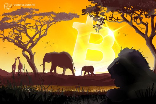 Documentary-review-–-banking-on-africa:-the-bitcoin-revolution