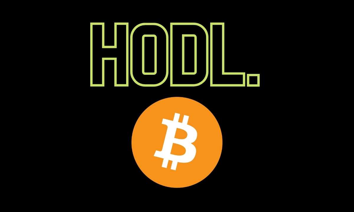 Hodlers:-most-crypto-investors-hold-majority-in-bitcoin-over-altcoins,-survey-finds