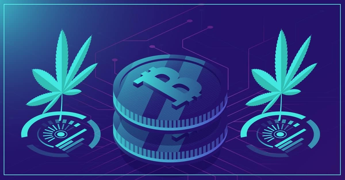 New-redeemable-cryptocurrency-cana-token-launches,-backed-by-cannabis-seeds
