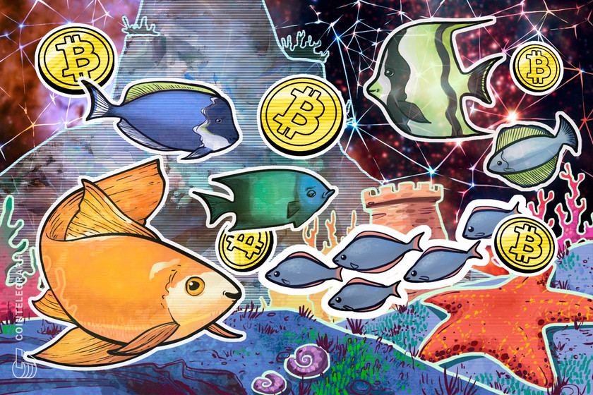Bitcoin-shortage-as-wall-street-fomo-turns-btc-whales-into-‘plankton’