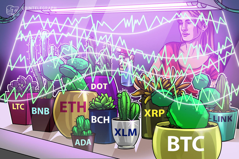 Price-analysis-2/1:-btc,-eth,-xrp,-dot,-ada,-link,-ltc,-bch,-bnb,-xlm