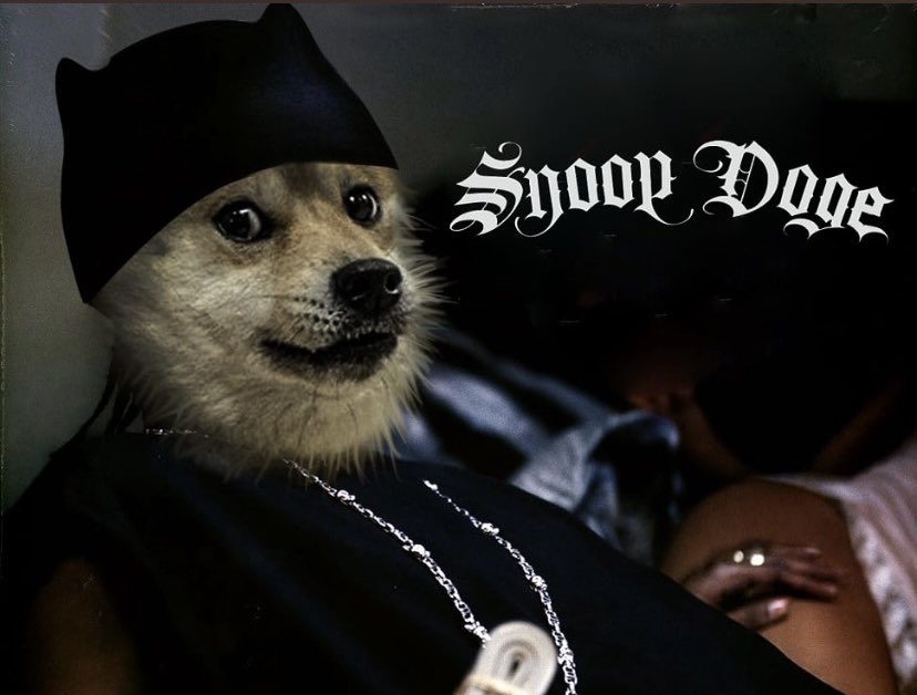 Dogecoin-rises-more-than-36%-after-snoop-dogg-becomes-snoop-doge