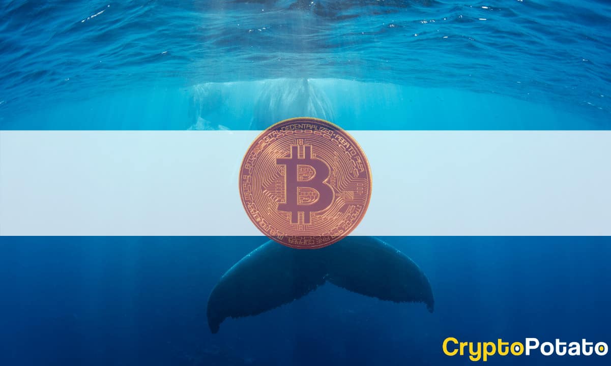 Report:-bitcoin-whales-sold-at-least-140,000-btc-in-february-as-price-suffers