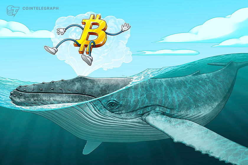 Bitcoin-uptrend-not-over:-big-whales-aren’t-selling-btc,-data-shows