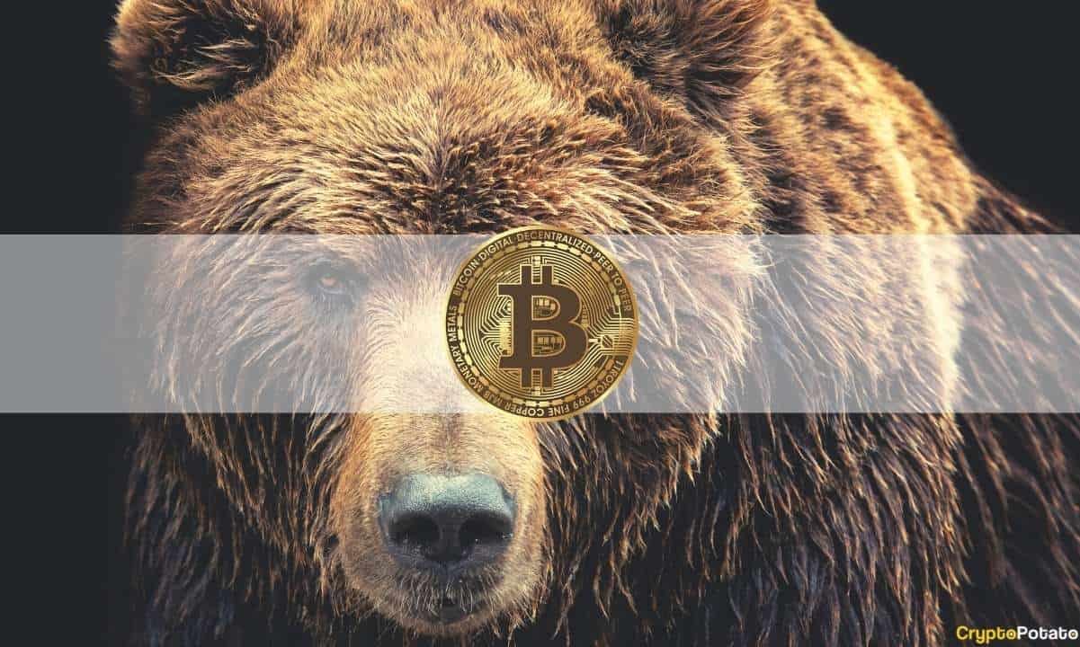 Bitcoin-bear-market-fears-sparked-by-institutional-outflows-and-whale-capitulation