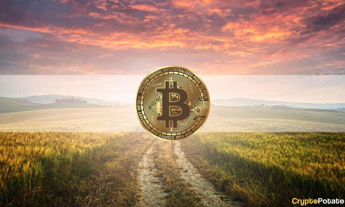 Analysis:-bitcoin-is-undervalued,-2021-bull-run-hasn’t-topped-yet