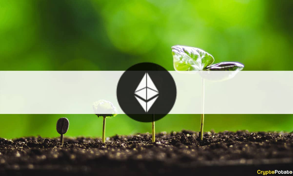 Ethereum-whales-are-depositing-more-eth-to-the-ethereum-2.0-contract-amid-protocol-upgrades