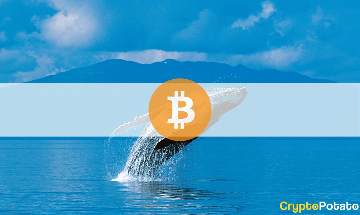 Buying-spree:-third-largest-whale-buys-$170m-worth-of-btc-in-two-weeks