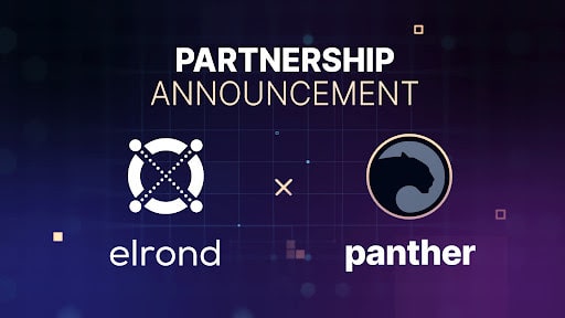 Panther-protocol-partners-with-elrond-to-enable-privacy-preserving-defi-products