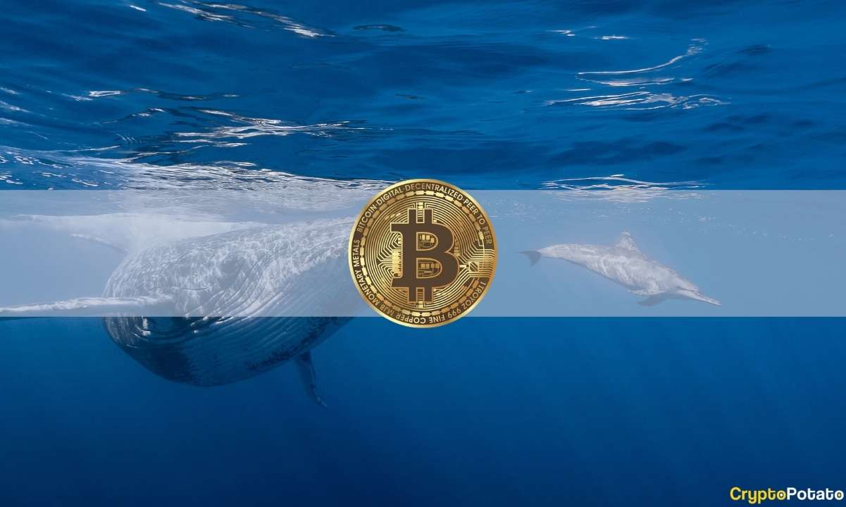 Bitcoin-whale-wealth-control-highlights-currency-centralization:-report