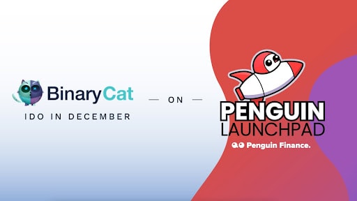 The-binary-cat-ido-is-on-the-december-calendar