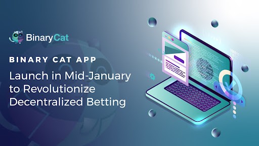Binary-cat-app-launch-in-mid-january-focusing-on-decentralized-betting