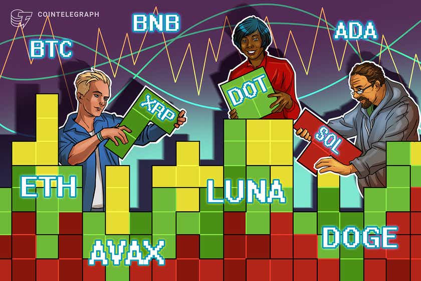 Price-analysis-1/12:-btc,-eth,-bnb,-sol,-ada,-xrp,-luna,-dot,-avax,-doge