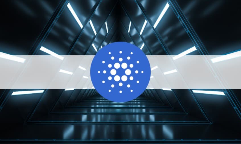 Cardano-successfully-launches-vasil-upgrade-on-testnet