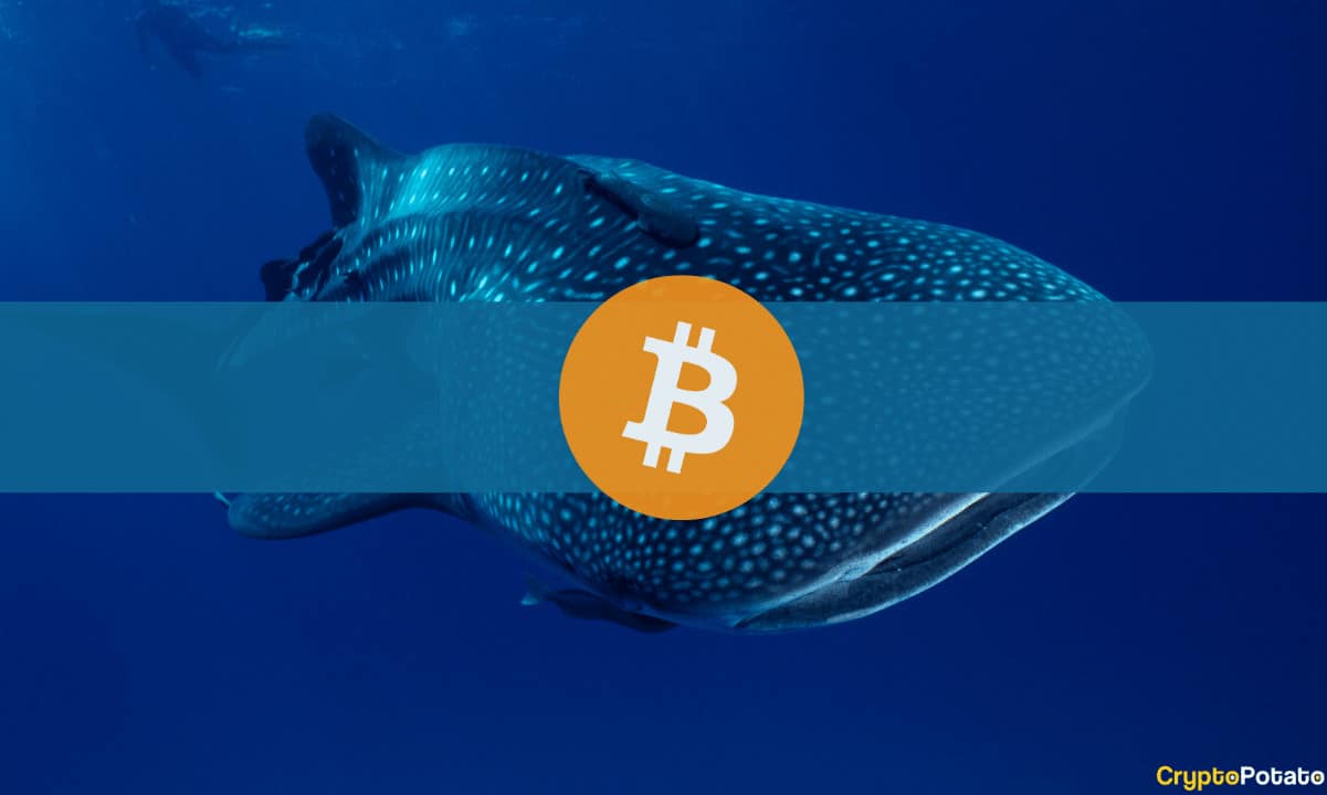 Third-largest-bitcoin-whale-transfers-all-btc-holdings-to-coinbase