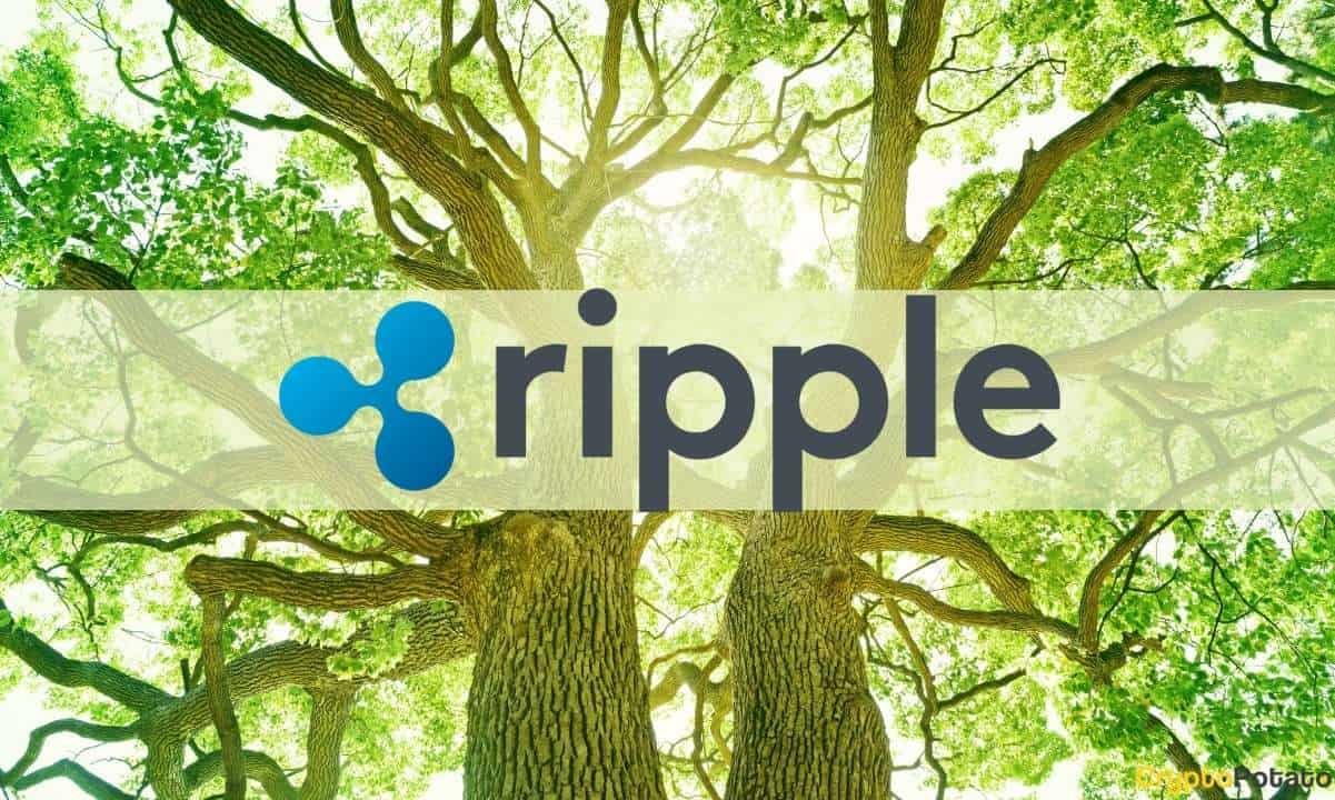 Ripple’s-q2-report-shows-50%-increase-in-sold-xrp
