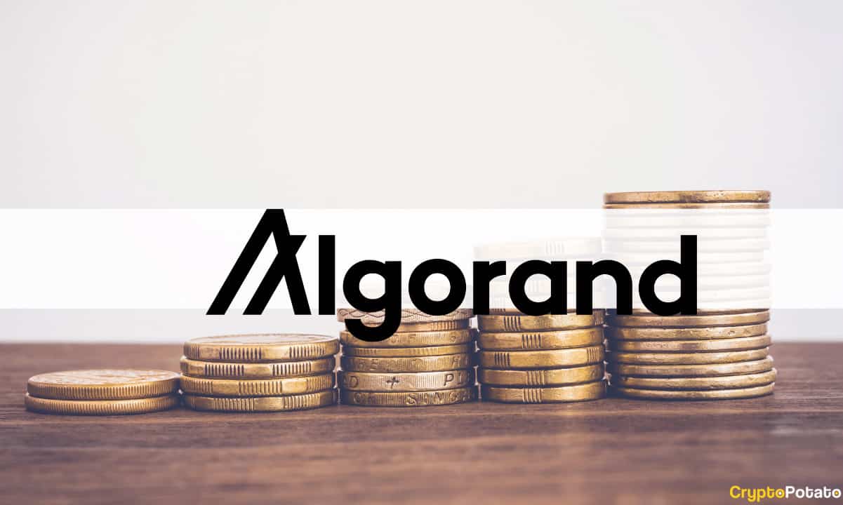 Algorand-foundation-confirms-$35m-exposure-to-crypto-lender-hodlnaut