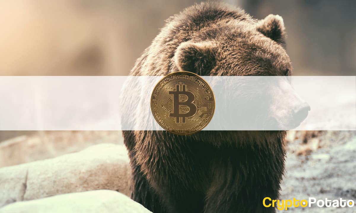 $11k-or-$9k:-bitcoin’s-expected-bottom-based-on-previous-bear-markets