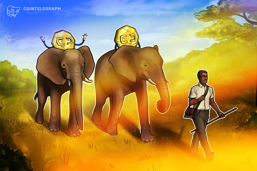 Central-african-republic-eyes-legal-framework-for-crypto-adoption