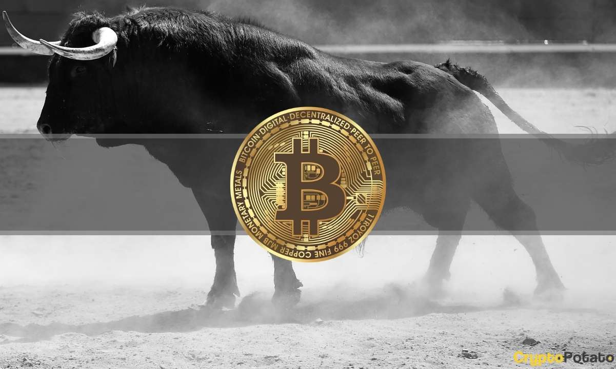 Bitcoin-surges-past-$23k,-is-the-rally-sustainable?-(analysis)