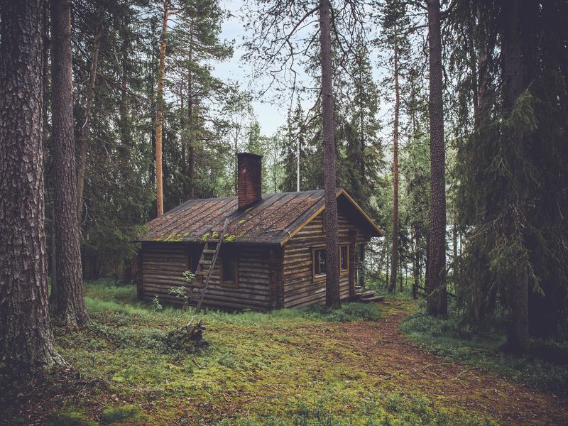 Coliving-project-cabin-wants-to-put-digital-nomads-in-nature