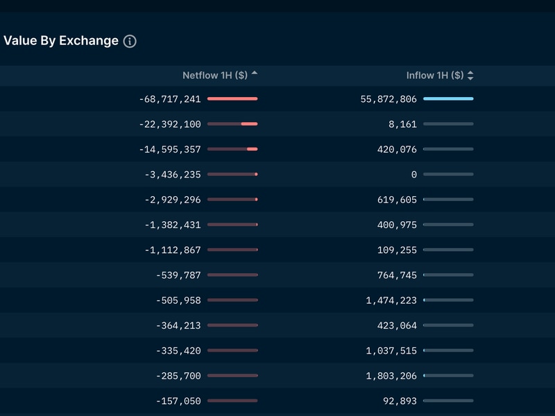 Binance-endures-$69m-in-net-outflows-within-an-hour,-amid-sec-charge:-nansen