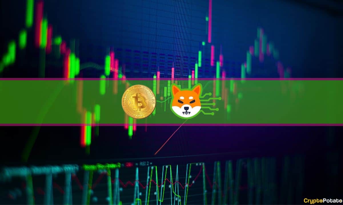 Bitcoin-squeezing-at-$29k-as-shiba-inu-(shib)-weekly-gains-top-12%:-market-watch