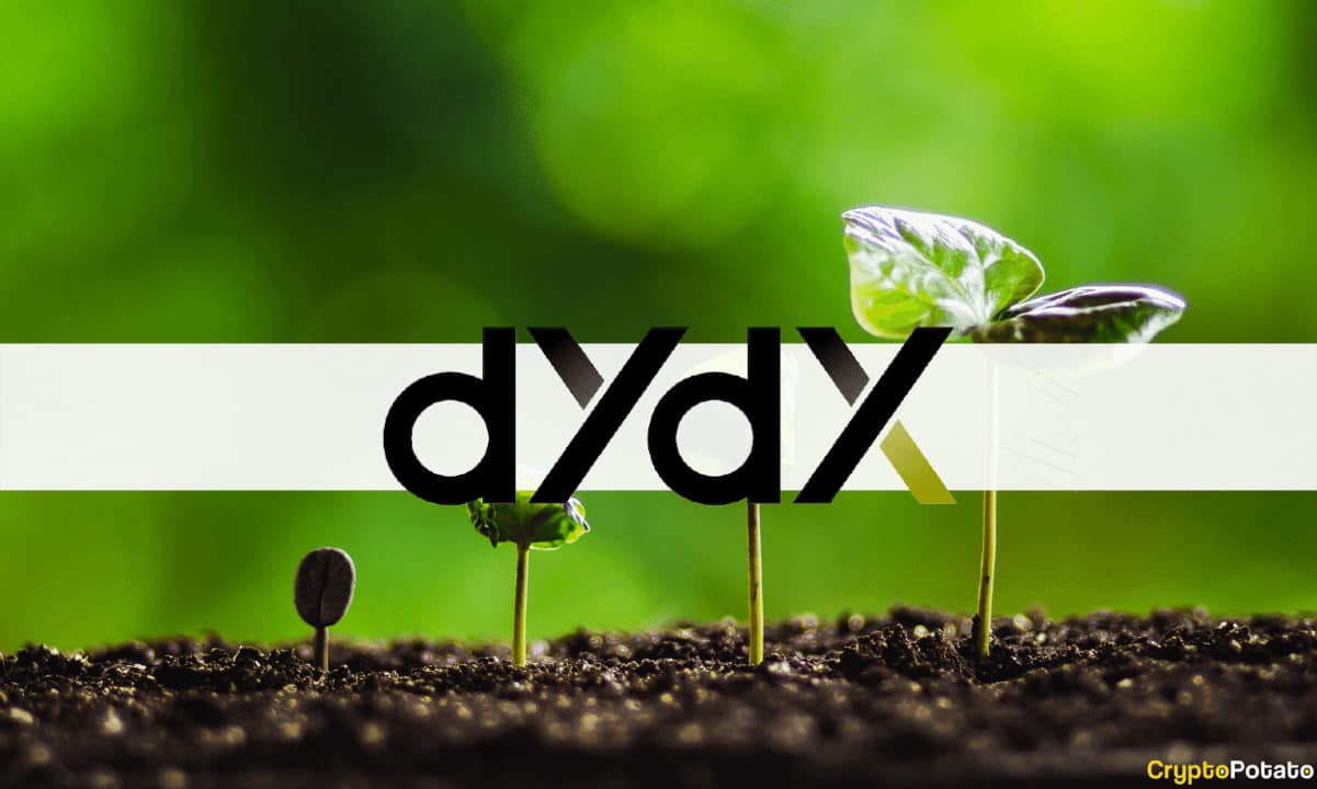 Here-is-how-dydx-chain-validators-and-stakers-will-keep-the-ecosystem-unharmed