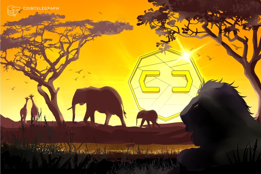 Central-african-republic-expands-sango-project-to-land,-resource-tokenization