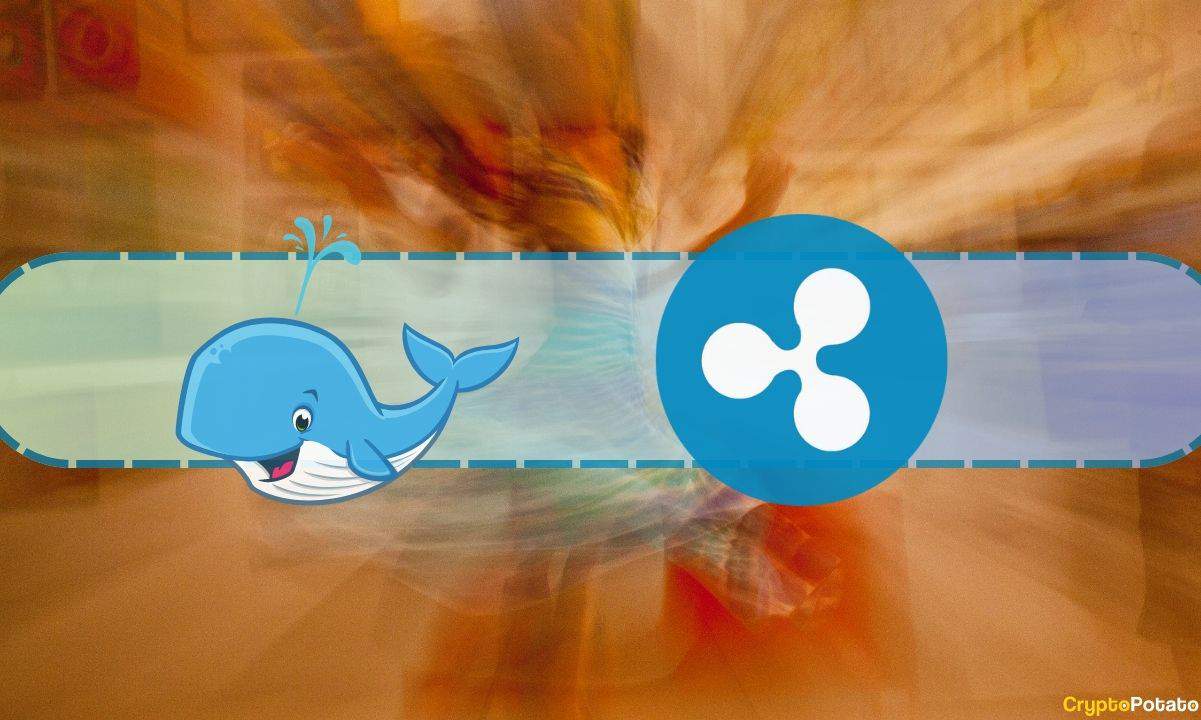 Is-this-whale-planning-to-dispose-$15-million-worth-of-ripple-(xrp)?