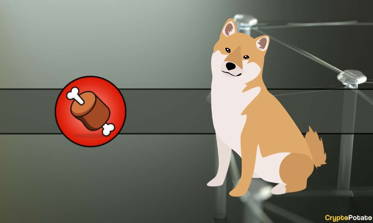 This-exchange-is-now-the-largest-single-holder-of-shiba-inu’s-bone