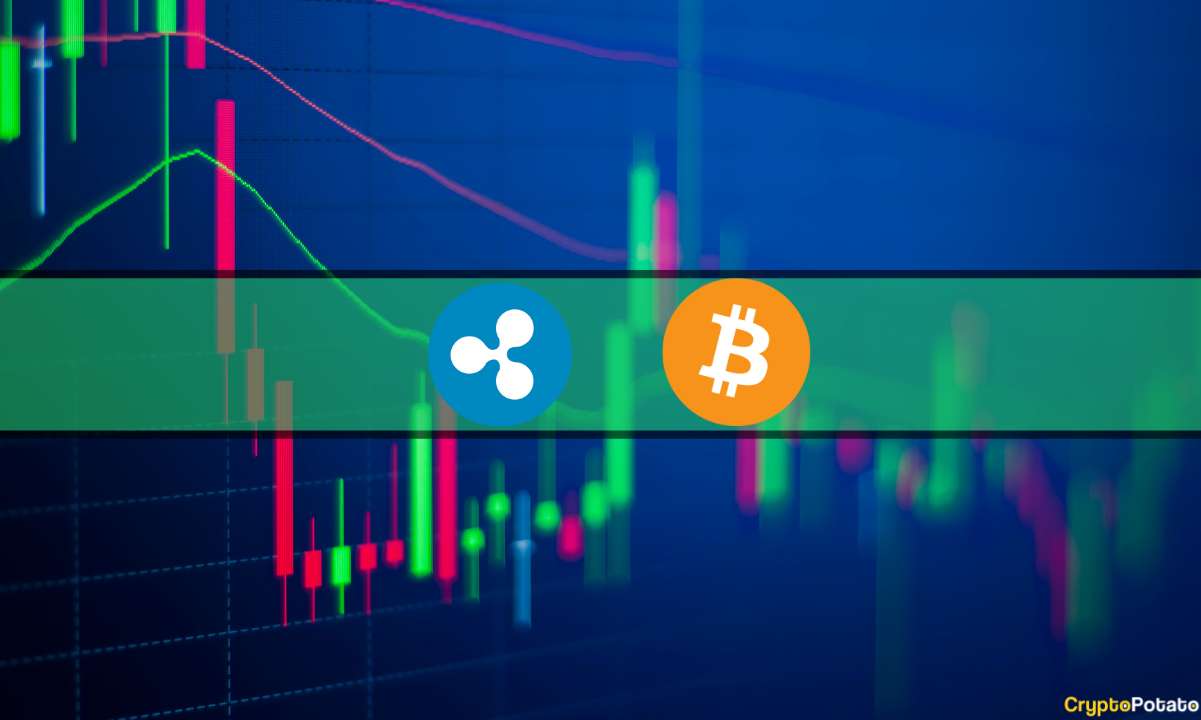 Bitcoin-(btc)-dumps-to-12-day-low,-ripple-(xrp)-slips-below-$0.5-(market-watch)