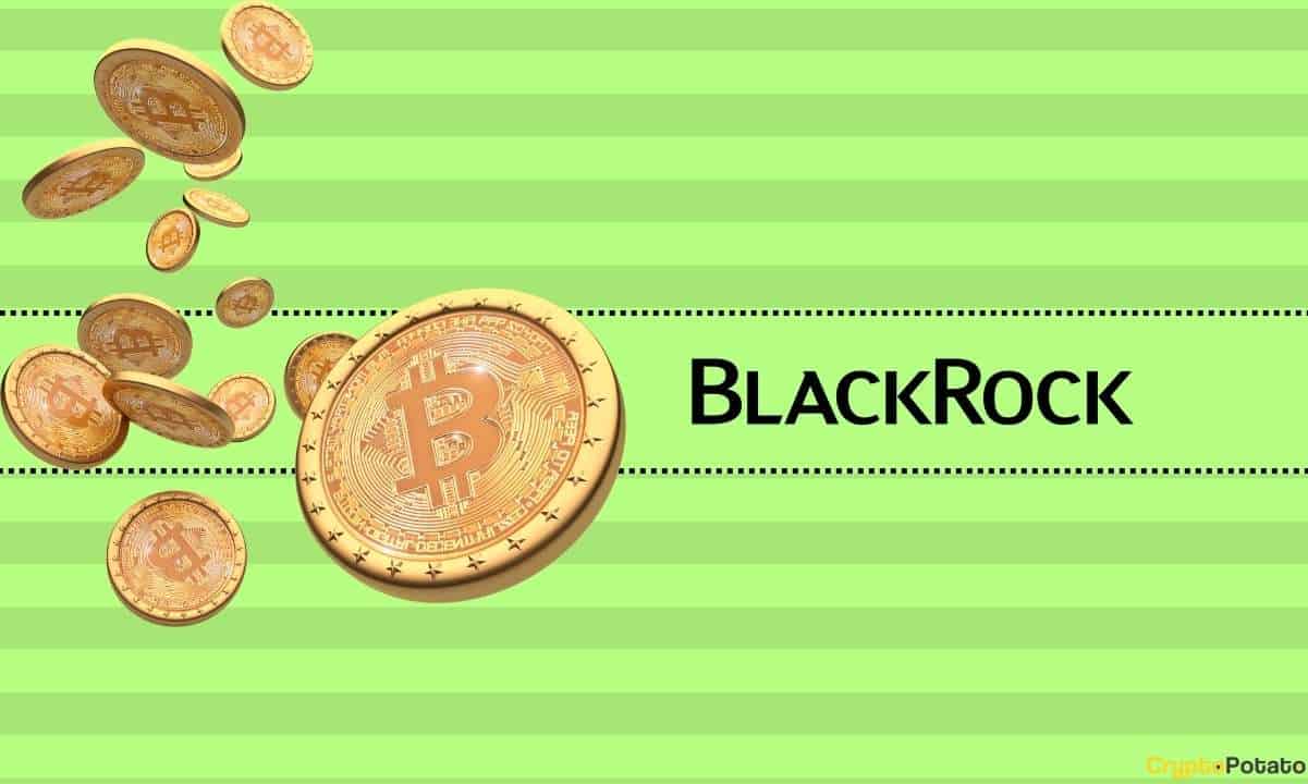 Blackrock-ceo-larry-fink-shares-thoughts-on-a-bitcoin-(btc):-bull-run-ahead?