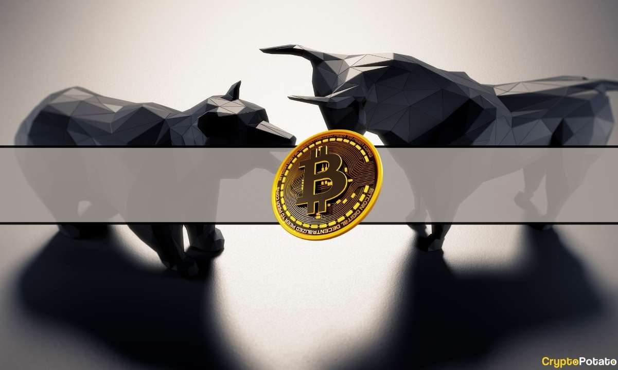 Bitcoin-bull-market-patterns-start-to-appear:-bitfinex-alpha
