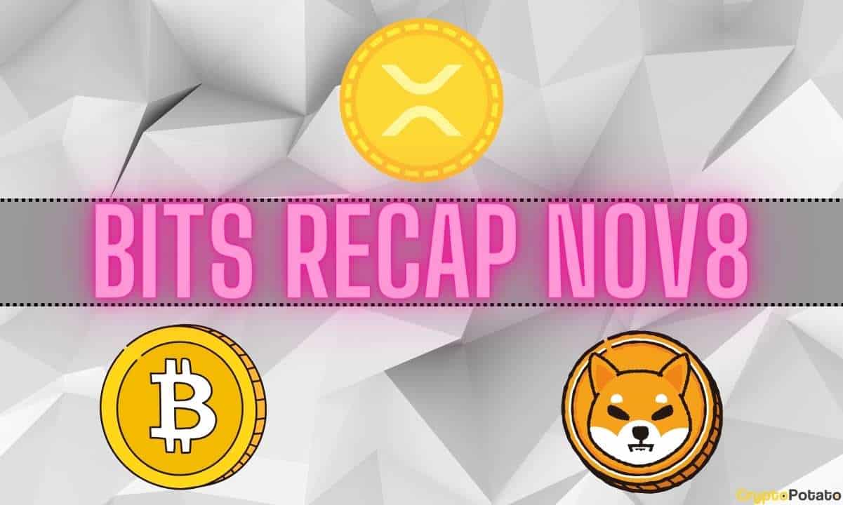 Ripple-(xrp)-price-turbulence,-bitcoin-(btc)-developments,-shiba-inu-(shib)-burn-rate:-bits-recap-nov-8