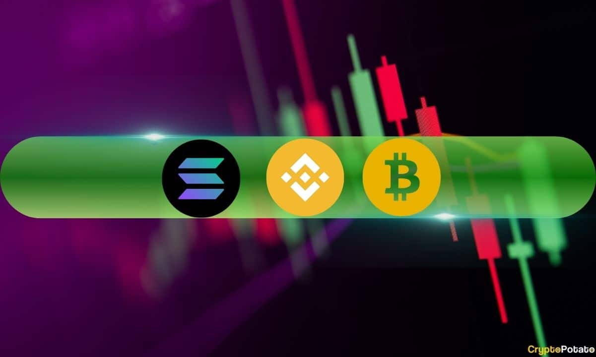 Bnb-takes-back-4th-place-from-sol-with-12%-surge,-bsv-explodes-60%-(market-watch)