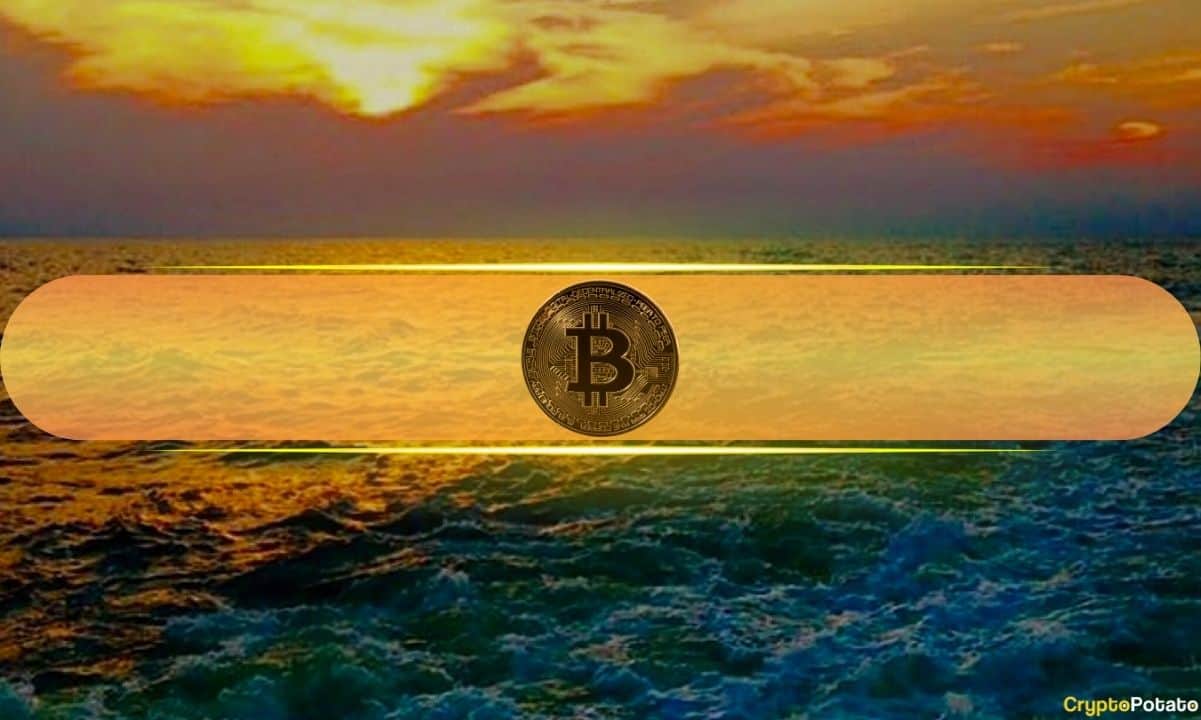 Btc-price-soars-above-$42k-as-bitcoin-accumulation-wallets-now-worth-$68b-with-1.7m-btc