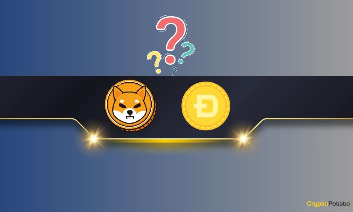 What’s-the-best-performing-meme-coin-on-social-media?-hint:-it’s-not-shib-or-doge