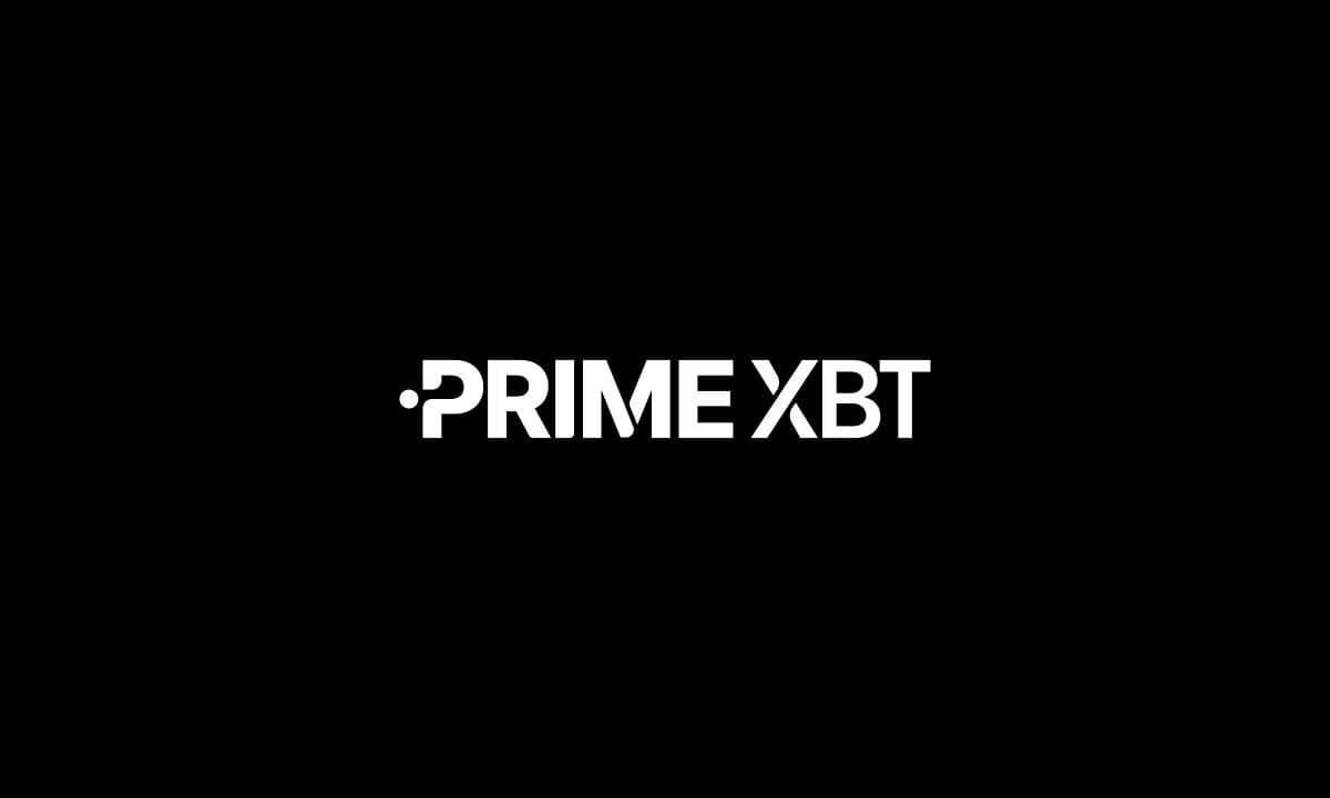 Primexbt-to-democratise-financial-markets-with-total-revamp-and-upgraded-product-offering