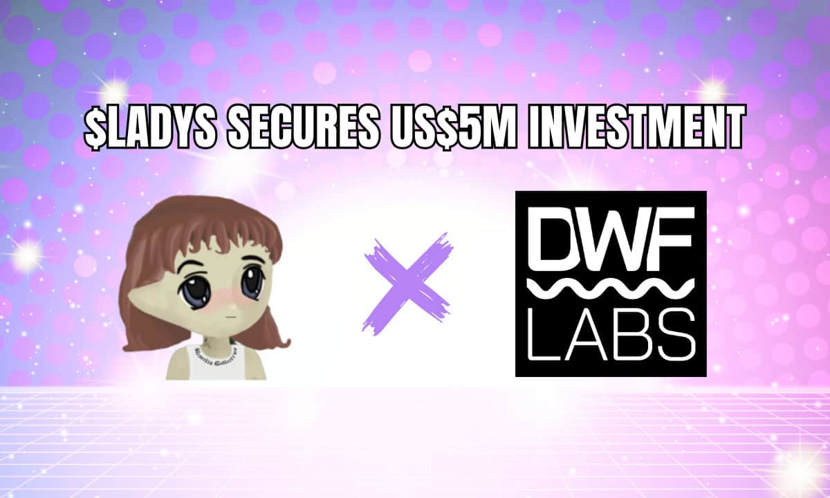 Milady-meme-coin-secures-us$5-million-investment-from-dwf-labs