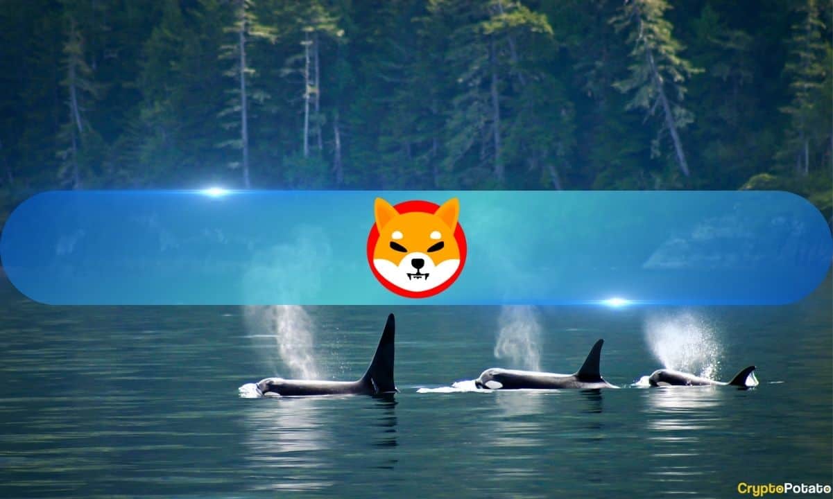 This-whale-bets-big-on-shiba-inu-as-shib-price-spiked-by-6%-daily