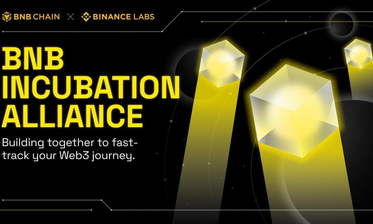 Bnb-chain-and-binance-labs-collaborate-with-top-vcs-to-launch-bnb-incubation-alliance-(bia)